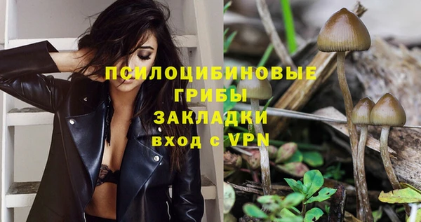 PSILOCYBIN Алексеевка