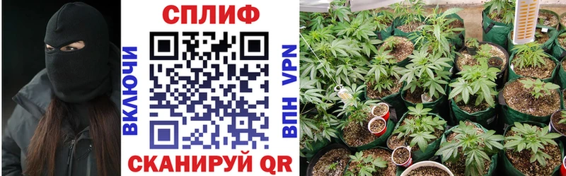 МАРИХУАНА тримм  наркота  Юрьевец 